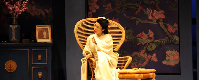 MADAMA BUTTERFLY - OPERA 2001